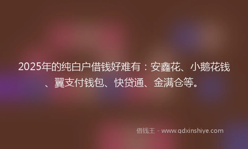 2025年的纯白户借钱好难有：安鑫花、小鹅花钱、翼支付钱包、快贷通、金满仓等。