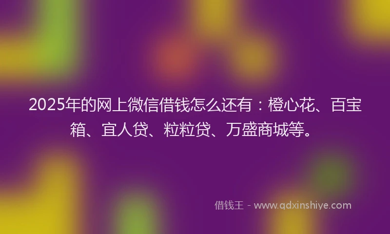 2025年的网上微信借钱怎么还有：橙心花、百宝箱、宜人贷、粒粒贷、万盛商城等。