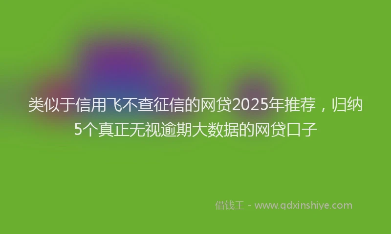 类似于信用飞不查征信的网贷2025年推荐，归纳5个真正无视逾期大数据的网贷口子