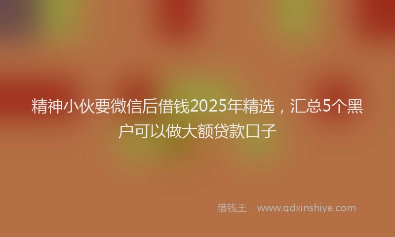 精神小伙要微信后借钱2025年精选，汇总5个黑户可以做大额贷款口子