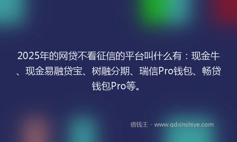 2025年的网贷不看征信的平台叫什么有：现金牛、现金易融贷宝、树融分期、瑞信Pro钱包、畅贷钱包Pro等。