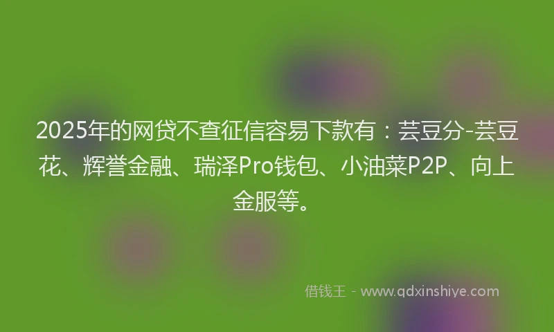 2025年的网贷不查征信容易下款有：芸豆分-芸豆花、辉誉金融、瑞泽Pro钱包、小油菜P2P、向上金服等。