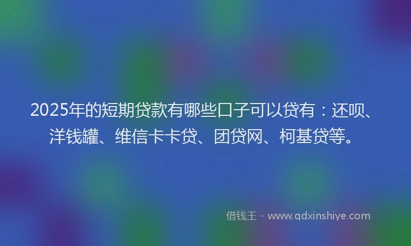 2025年的短期贷款有哪些口子可以贷有：还呗、洋钱罐、维信卡卡贷、团贷网、柯基贷等。