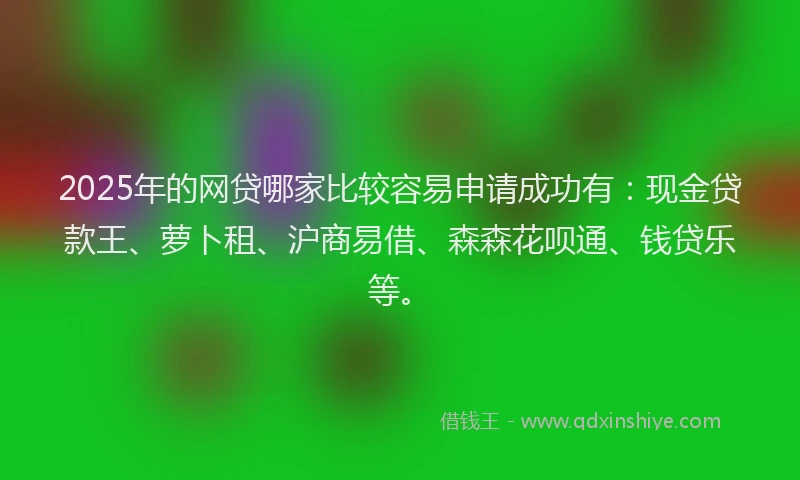 2025年的网贷哪家比较容易申请成功有：现金贷款王、萝卜租、沪商易借、森森花呗通、钱贷乐等。