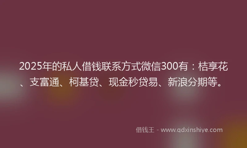 2025年的私人借钱联系方式微信300有：桔享花、支富通、柯基贷、现金秒贷易、新浪分期等。