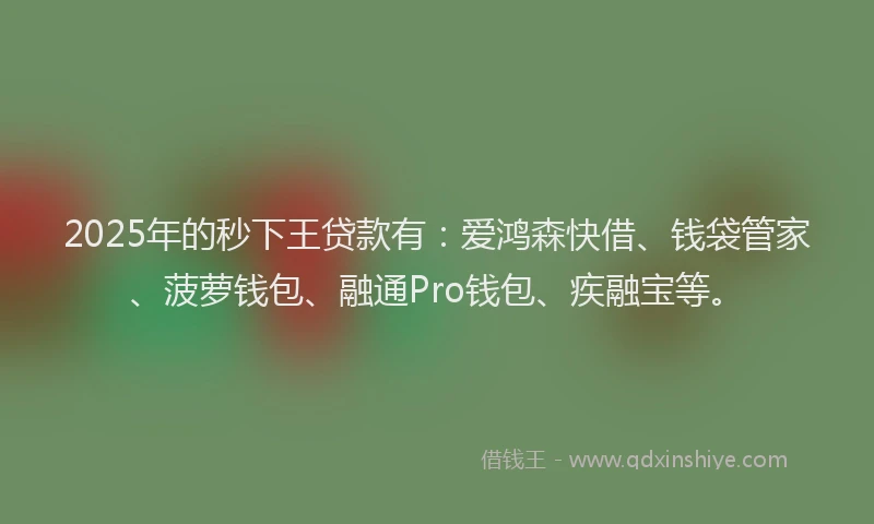 2025年的秒下王贷款有：爱鸿森快借、钱袋管家、菠萝钱包、融通Pro钱包、疾融宝等。