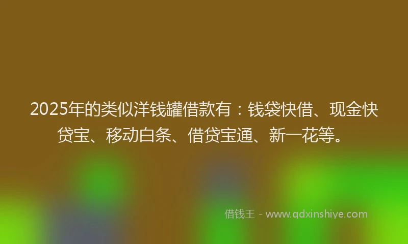 2025年的类似洋钱罐借款有：钱袋快借、现金快贷宝、移动白条、借贷宝通、新一花等。