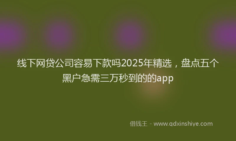 线下网贷公司容易下款吗2025年精选，盘点五个黑户急需三万秒到的的app