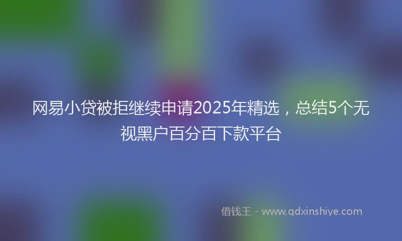 网易小贷被拒继续申请2025年精选，总结5个无视黑户百分百下款平台