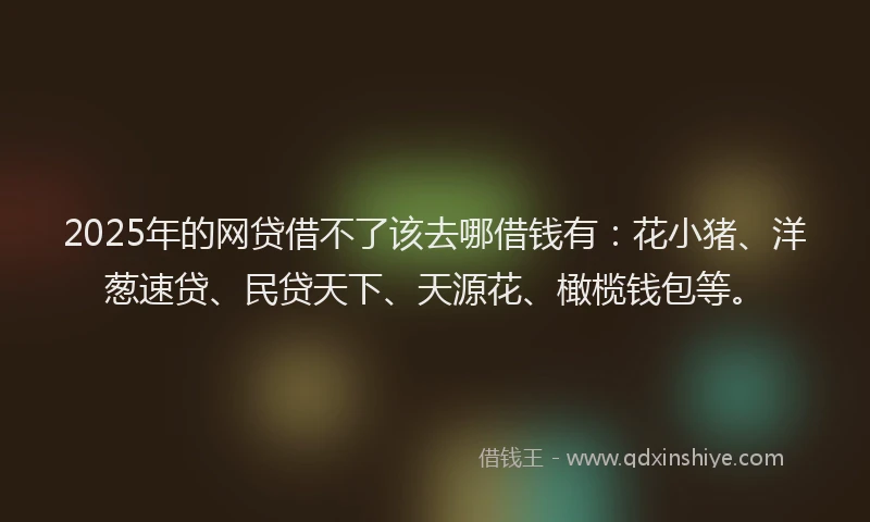2025年的网贷借不了该去哪借钱有：花小猪、洋葱速贷、民贷天下、天源花、橄榄钱包等。