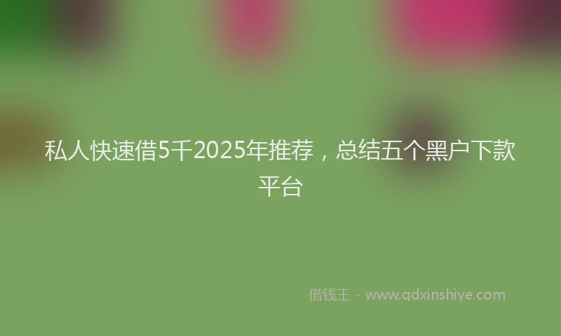 私人快速借5千2025年推荐，总结五个黑户下款平台