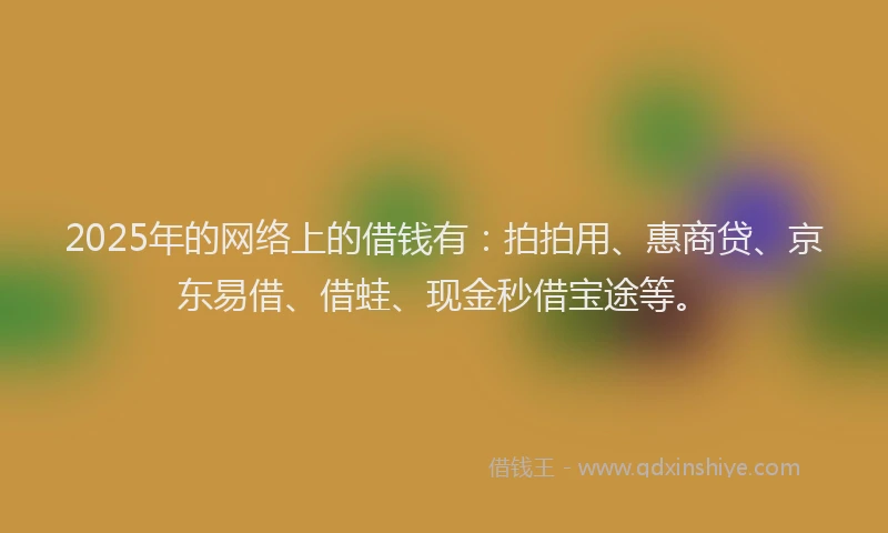2025年的网络上的借钱有：拍拍用、惠商贷、京东易借、借蛙、现金秒借宝途等。