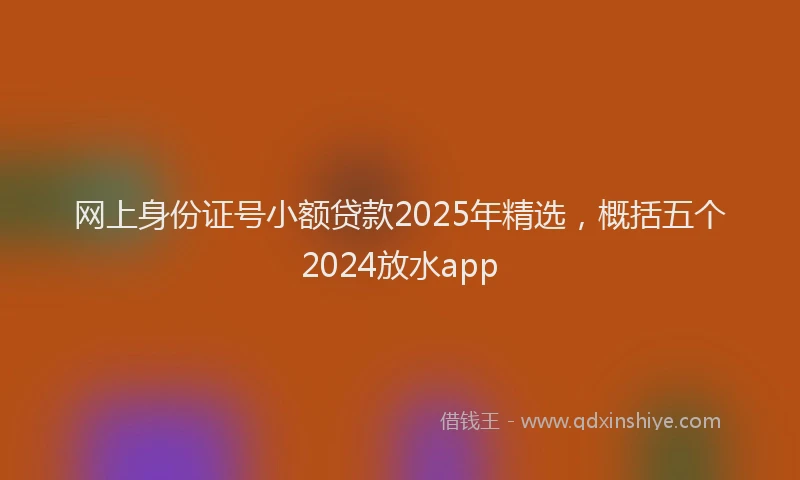 网上身份证号小额贷款2025年精选，概括五个2024放水app