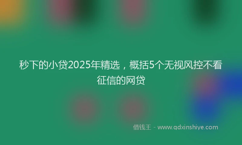 秒下的小贷2025年精选，概括5个无视风控不看征信的网贷