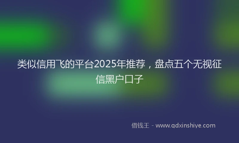 类似信用飞的平台2025年推荐，盘点五个无视征信黑户口子