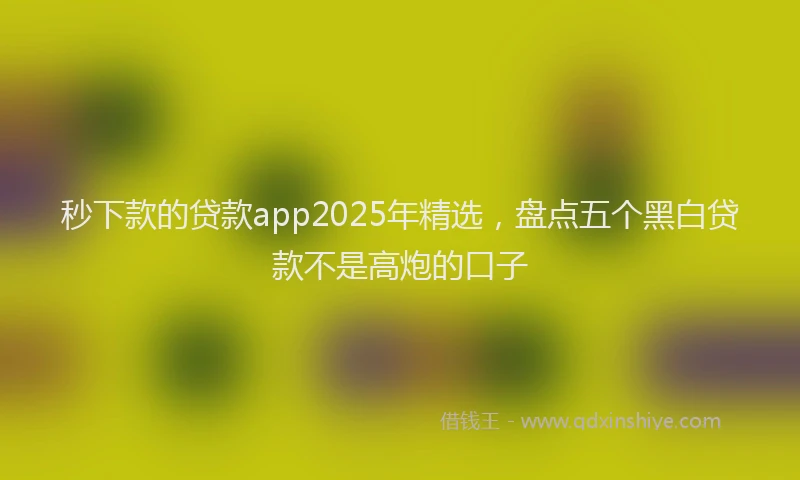 秒下款的贷款app2025年精选，盘点五个黑白贷款不是高炮的口子