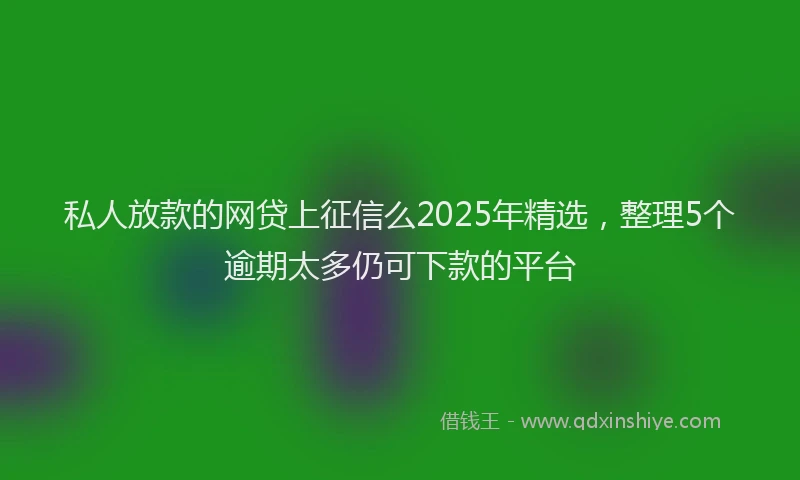私人放款的网贷上征信么2025年精选，整理5个逾期太多仍可下款的平台