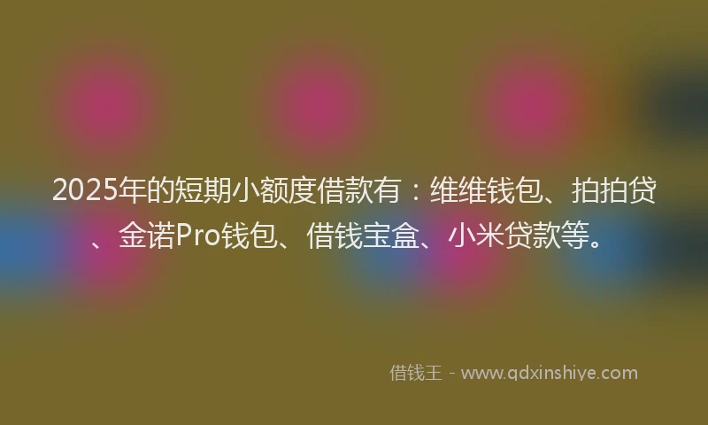 2025年的短期小额度借款有：维维钱包、拍拍贷、金诺Pro钱包、借钱宝盒、小米贷款等。