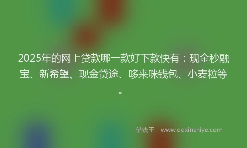 2025年的网上贷款哪一款好下款快有：现金秒融宝、新希望、现金贷途、哆来咪钱包、小麦粒等。