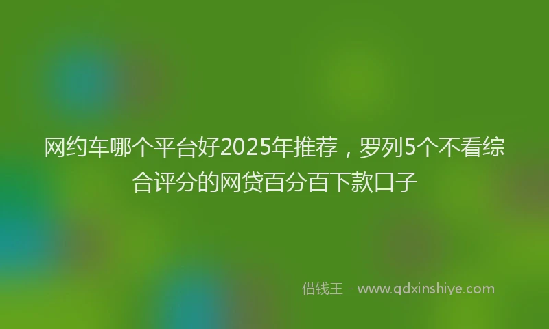 网约车哪个平台好2025年推荐，罗列5个不看综合评分的网贷百分百下款口子