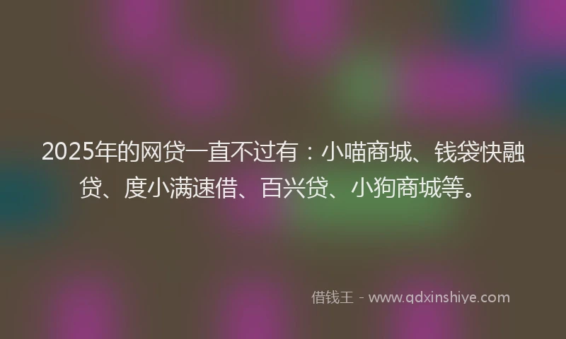 2025年的网贷一直不过有：小喵商城、钱袋快融贷、度小满速借、百兴贷、小狗商城等。