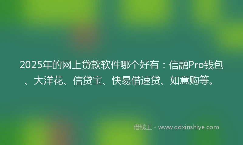 2025年的网上贷款软件哪个好有：信融Pro钱包、大洋花、信贷宝、快易借速贷、如意购等。