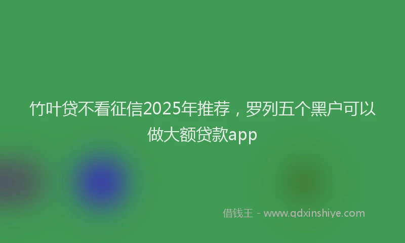 竹叶贷不看征信2025年推荐，罗列五个黑户可以做大额贷款app
