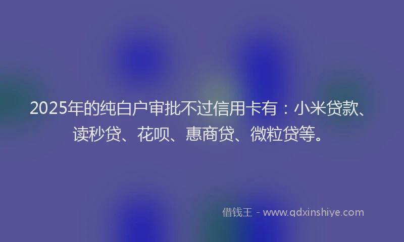 2025年的纯白户审批不过信用卡有：小米贷款、读秒贷、花呗、惠商贷、微粒贷等。