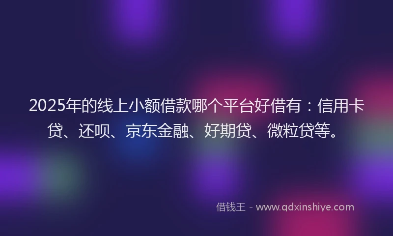 2025年的线上小额借款哪个平台好借有：信用卡贷、还呗、京东金融、好期贷、微粒贷等。