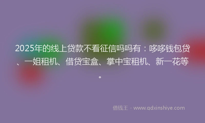 2025年的线上贷款不看征信吗吗有：哆哆钱包贷、一姐租机、借贷宝盒、掌中宝租机、新一花等。