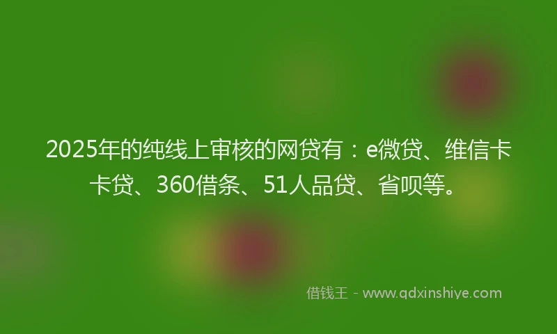 2025年的纯线上审核的网贷有：e微贷、维信卡卡贷、360借条、51人品贷、省呗等。