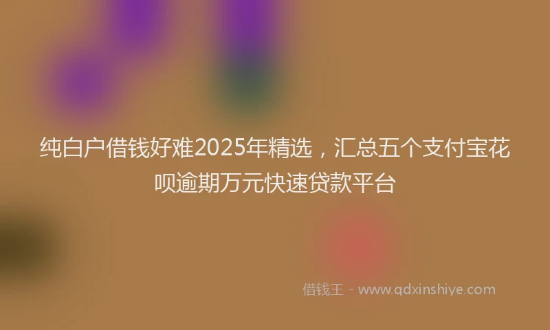 纯白户借钱好难2025年精选，汇总五个支付宝花呗逾期万元快速贷款平台