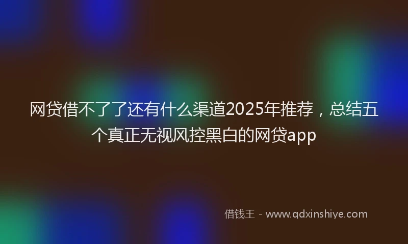 网贷借不了了还有什么渠道2025年推荐，总结五个真正无视风控黑白的网贷app