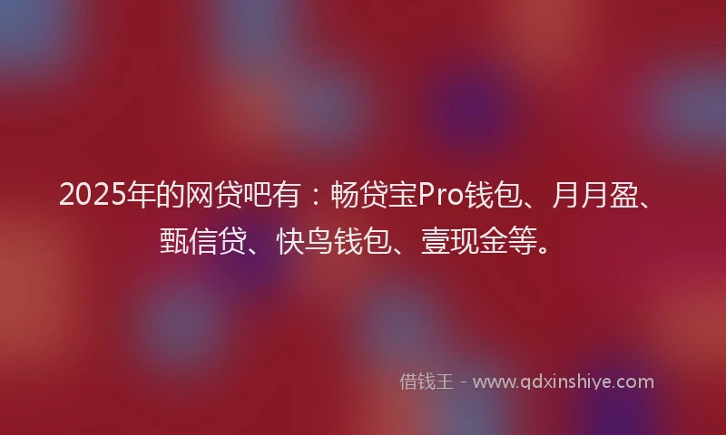 2025年的网贷吧有：畅贷宝Pro钱包、月月盈、甄信贷、快鸟钱包、壹现金等。