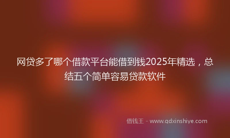 网贷多了哪个借款平台能借到钱2025年精选，总结五个简单容易贷款软件