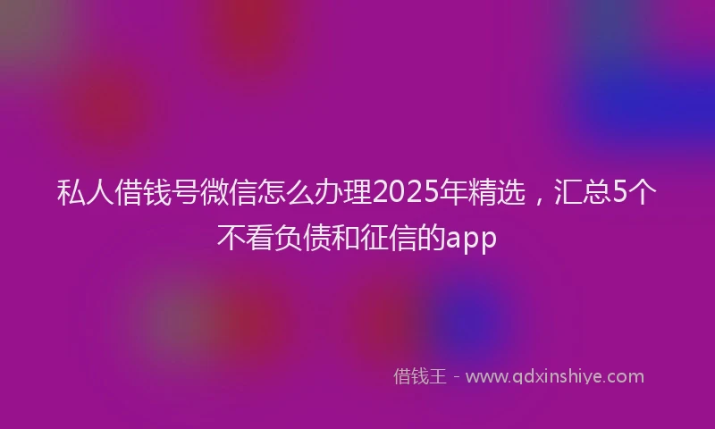 私人借钱号微信怎么办理2025年精选，汇总5个不看负债和征信的app