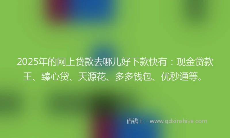 2025年的网上贷款去哪儿好下款快有：现金贷款王、臻心贷、天源花、多多钱包、优秒通等。