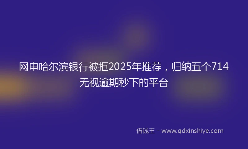 网申哈尔滨银行被拒2025年推荐，归纳五个714无视逾期秒下的平台