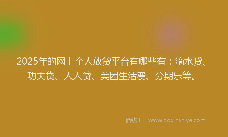 2025年的网上个人放贷平台有哪些有：滴水贷、功夫贷、人人贷、美团生活费、分期乐等。