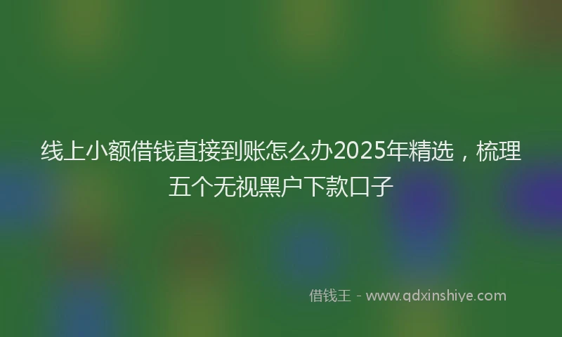 线上小额借钱直接到账怎么办2025年精选，梳理五个无视黑户下款口子