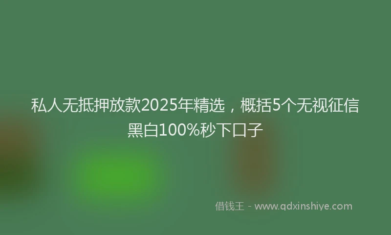 私人无抵押放款2025年精选，概括5个无视征信黑白100%秒下口子