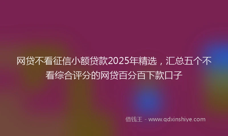 网贷不看征信小额贷款2025年精选，汇总五个不看综合评分的网贷百分百下款口子