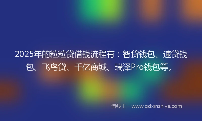 2025年的粒粒贷借钱流程有：智贷钱包、速贷钱包、飞鸟贷、千亿商城、瑞泽Pro钱包等。