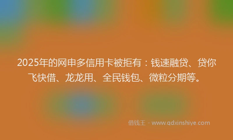 2025年的网申多信用卡被拒有：钱速融贷、贷你飞快借、龙龙用、全民钱包、微粒分期等。