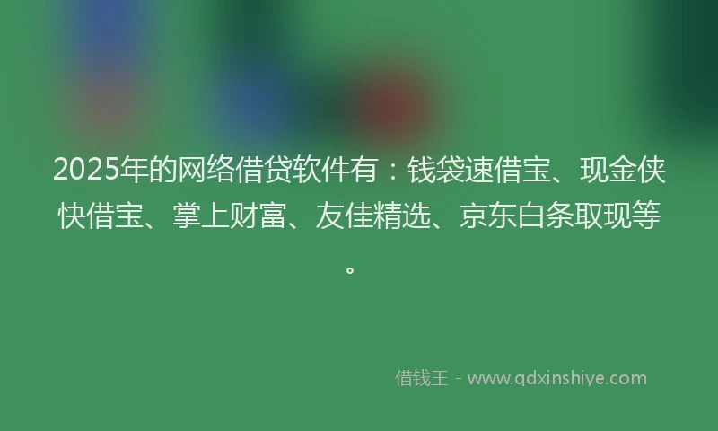2025年的网络借贷软件有：钱袋速借宝、现金侠快借宝、掌上财富、友佳精选、京东白条取现等。