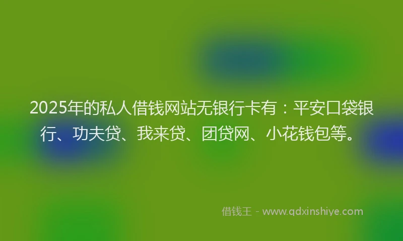 2025年的私人借钱网站无银行卡有：平安口袋银行、功夫贷、我来贷、团贷网、小花钱包等。