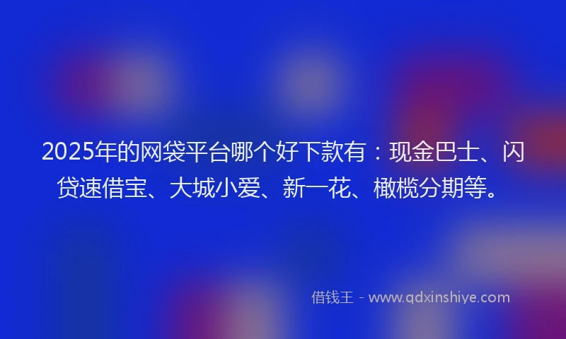 2025年的网袋平台哪个好下款有：现金巴士、闪贷速借宝、大城小爱、新一花、橄榄分期等。