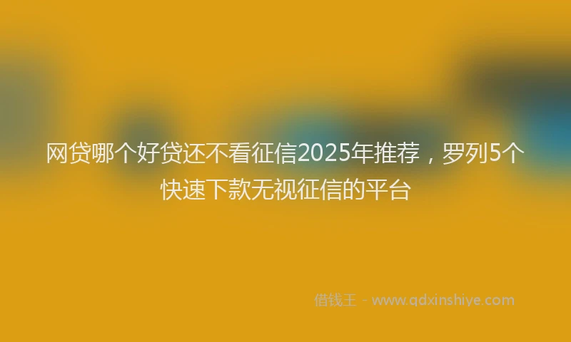 网贷哪个好贷还不看征信2025年推荐，罗列5个快速下款无视征信的平台