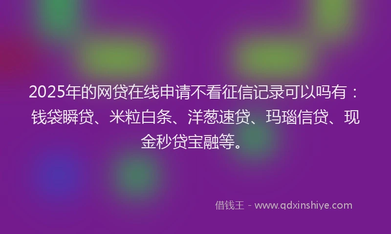 2025年的网贷在线申请不看征信记录可以吗有：钱袋瞬贷、米粒白条、洋葱速贷、玛瑙信贷、现金秒贷宝融等。