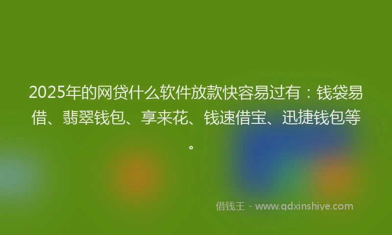 2025年的网贷什么软件放款快容易过有：钱袋易借、翡翠钱包、享来花、钱速借宝、迅捷钱包等。